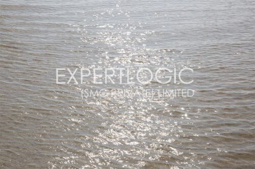 Natural Creative Pattern in Sea